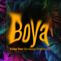 Richar Beat ✘  Boya  (Original Mix)