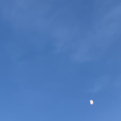 Tränen fallen weicher