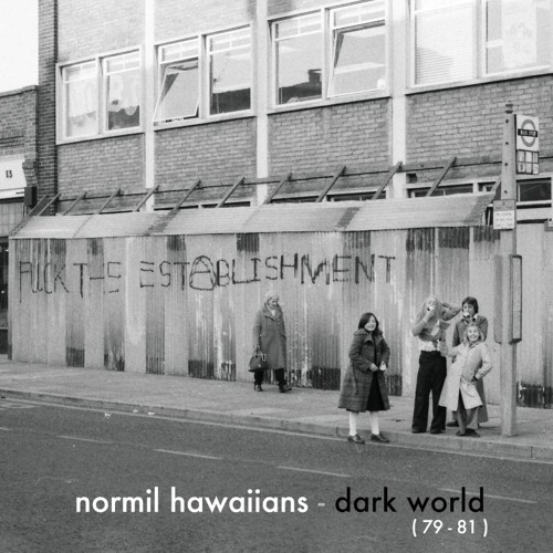 Normil Hawaiians - 'Dark World'