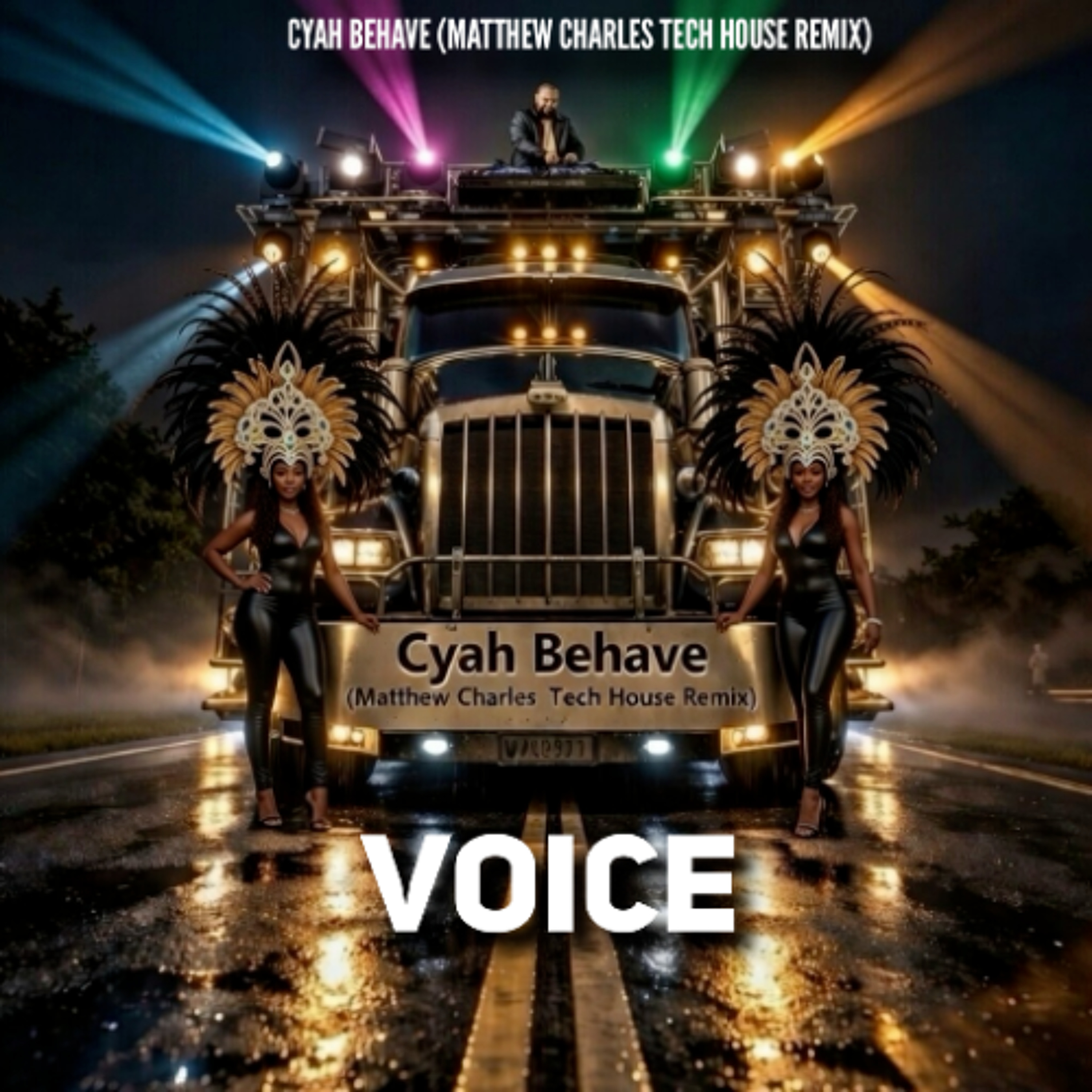 Cyah Behave (Matthew Charles Tech House Remix) episode artwork