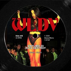 WLDV - Vinylmix 23 - Ruta Destroy FREE DOWNLOAD