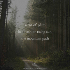 Mountain Path - (naviarhaiku - 602)