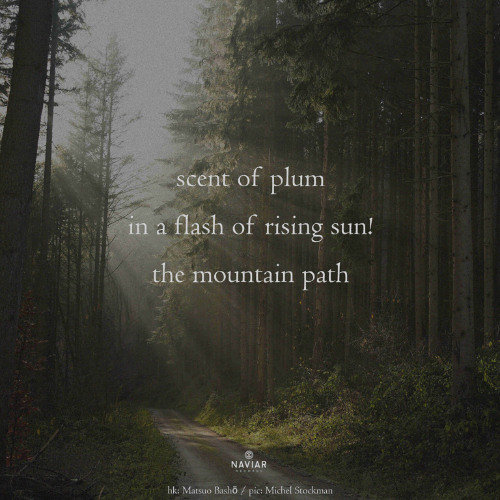 Mountain Path - (naviarhaiku - 602)
