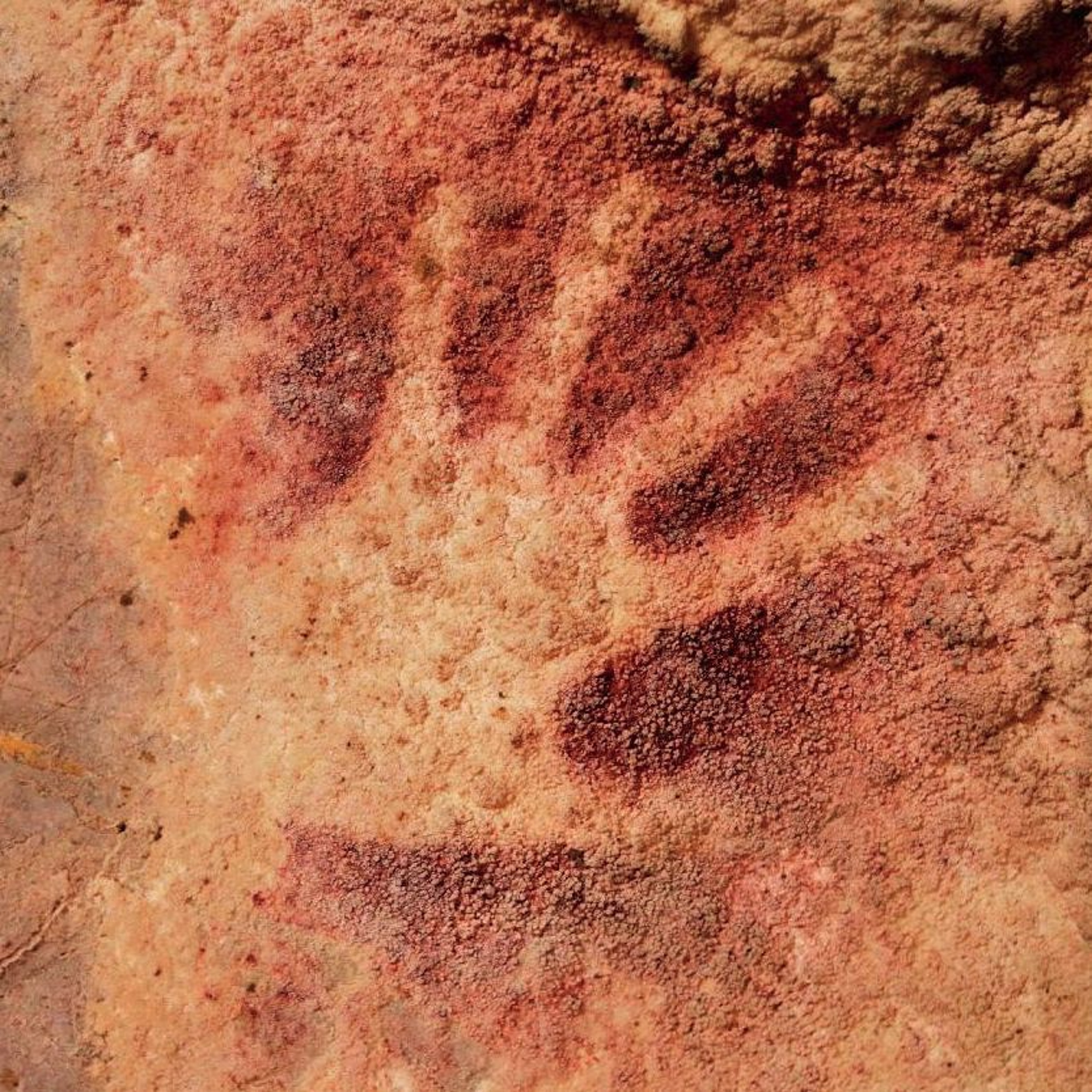 Astronomie - En route vers les etoiles