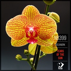 Tears of the Sun (Original Mix)