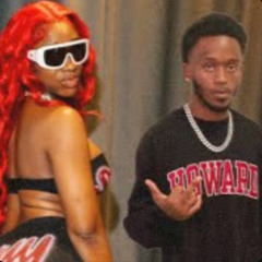 IMB DISS