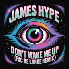 James Hype - Don't Wake Me Up (Ric de Large DnB Remix)