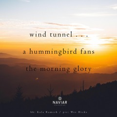 Glorious Morning (naviarhaiku355)