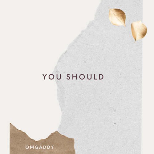 OmgAddy - You Should