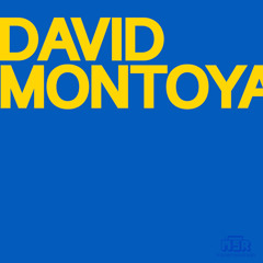 Episode 331 David Montoya