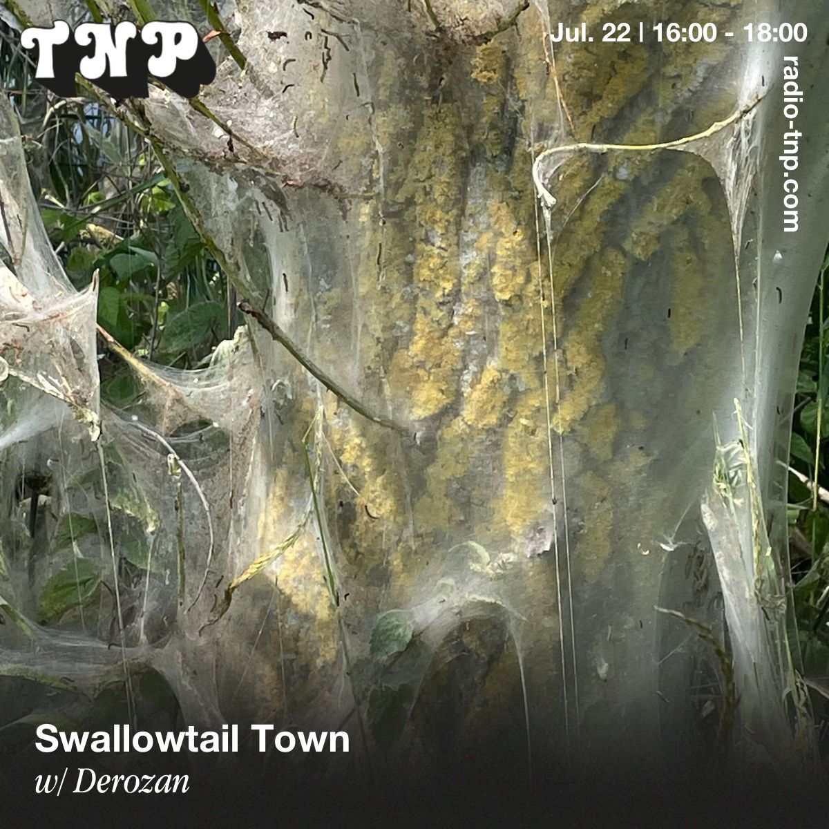 Swallowtail Town w/ Derozan