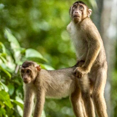 schranz_mich_weg_rec-2025-12-01