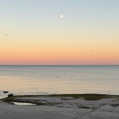 Buku x Mac Miller - Pinky Fingaz x Donald Trump iTFiTZ