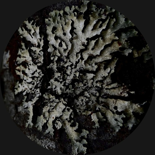 CODECAST X - Nils Edte - Synthetic Rift