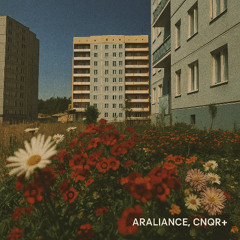 Araliance, CNQR+ - Memories