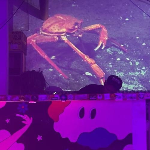 AMBIENT DAY 5: Secret Guest (vinyl set)