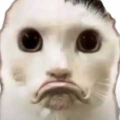 мой капс айз