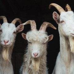 3 Headed Goat ft scholarthinksalot & Xyloah