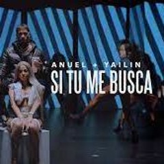 Anuel AA, Yailin La Más Viral - Si Tu Me Busca ( DJ MOLINA EDIT 2022 )