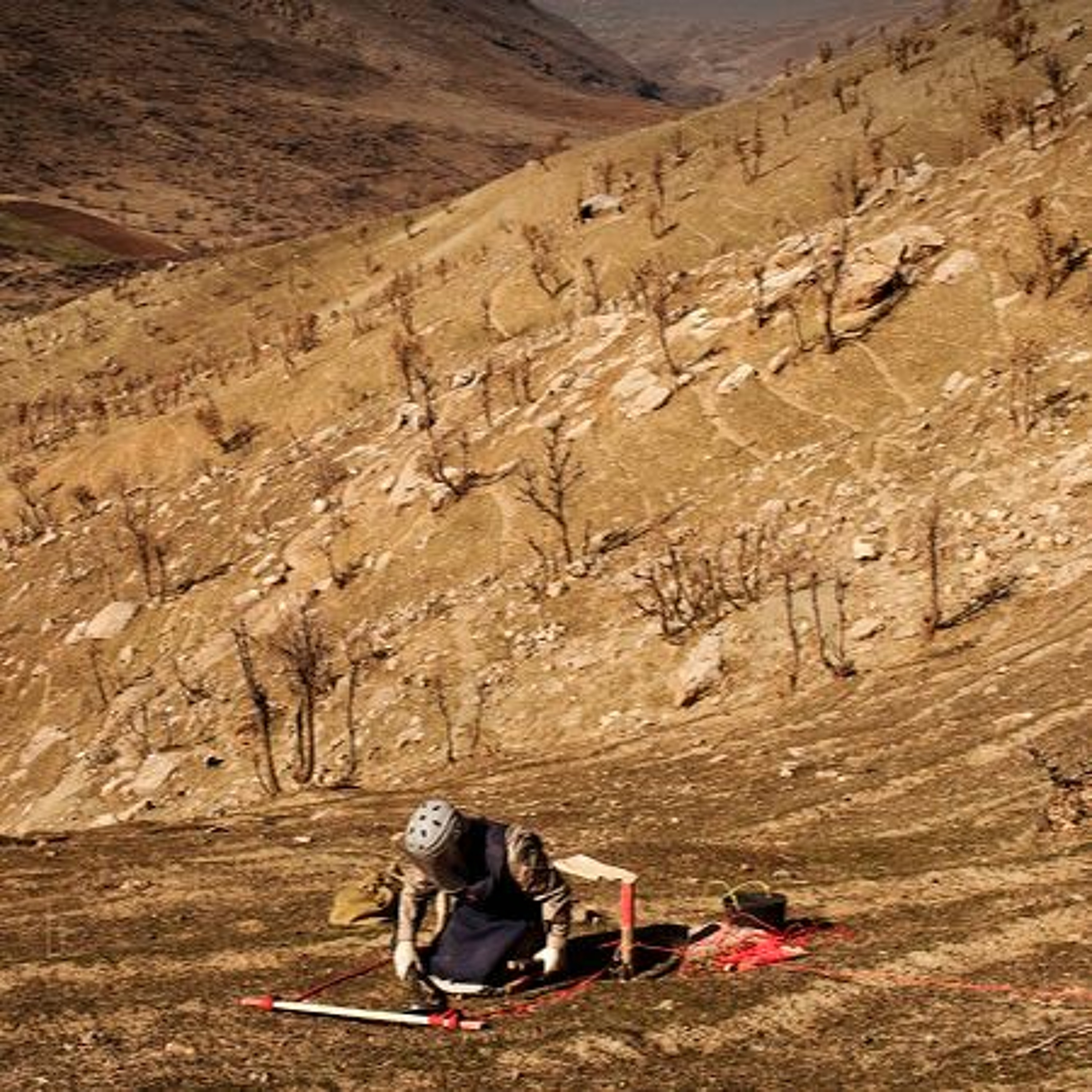 Mine action in action: influencing law and policy on toxic remnants of war