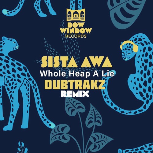 Whole Heap A Lie Remix  DUBTRAKZ 102