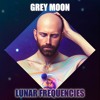 Скачать видео: Lunar Frequencies