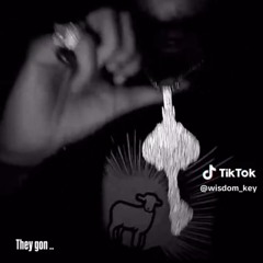 Lil Tony - They Gon (Snippet)