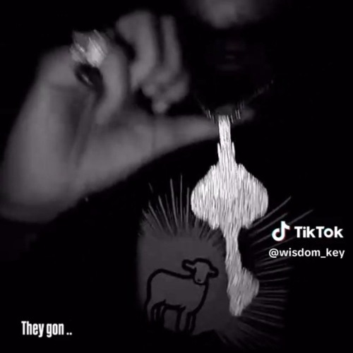 Lil Tony - They Gon (Snippet)