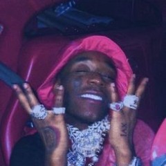 🪿