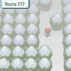 route 217