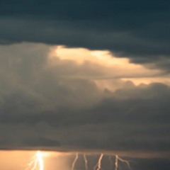 Mystic Pistol Gripper