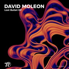 David Moleon - Lost Bullet (Original Mix) TECHSTURB128