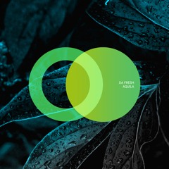 Da Fresh - Aquila (Original Mix) [Area Verde] // Progressive House Premiere
