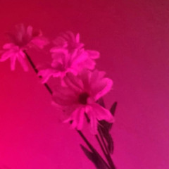 Wave & Tonic (Original Mix)