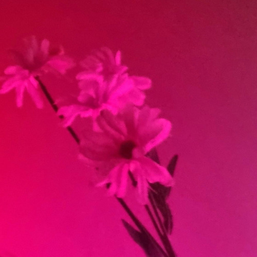 Methylene (Original Mix)