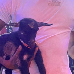 Lepy - NoTime(Feat.HiTechRie)