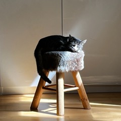 Kleiner Kater (Carwitz Demo)