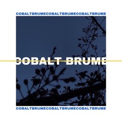 코발트브럼 ( COBALT BRUME ) - 고민 ( Beat by Plantplantwrold )