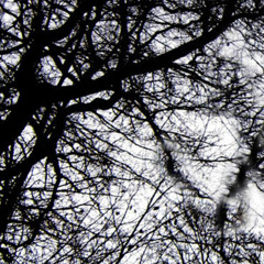Neurona