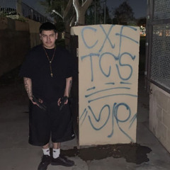 The Criminal Freestylek