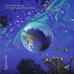 PLTU PREMIERE: Abity, Lelio Monte - Dignum (Gorkiz & Luca Abayan Remix) [Transensations Records]