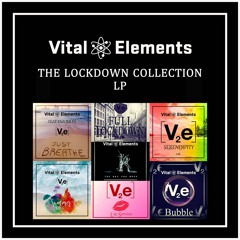 Vital Elements - The Lockdown Collection LP -DJ Mix
