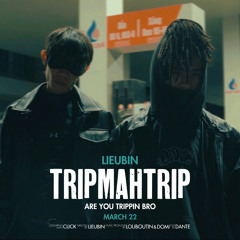Liêu Bin - TRIPMAHTRIP (ft. Click)
