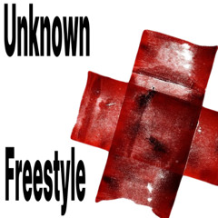 Unknown Fr33style