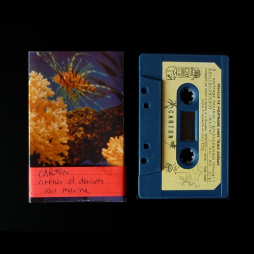 CARTON - Environnement recifal - extrait (Errata C20 series vol. 41)