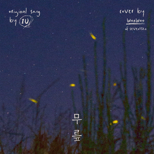 무릎(Knees) - 세븐틴 원우 (WONWOO of SEVENTEEN)[COVER] 원곡 :아이유 /IU