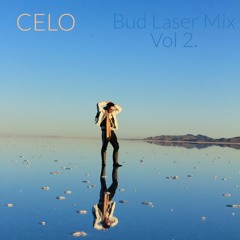 Bud Laser Tape Vol 2