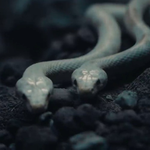 shut up my moms calling