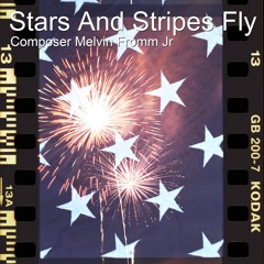 Stars and Stripes Fly