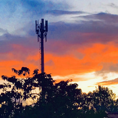 Melanesian girl🇹🇴